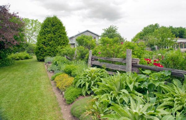 A calm trail with soft green plants and a wooden fence